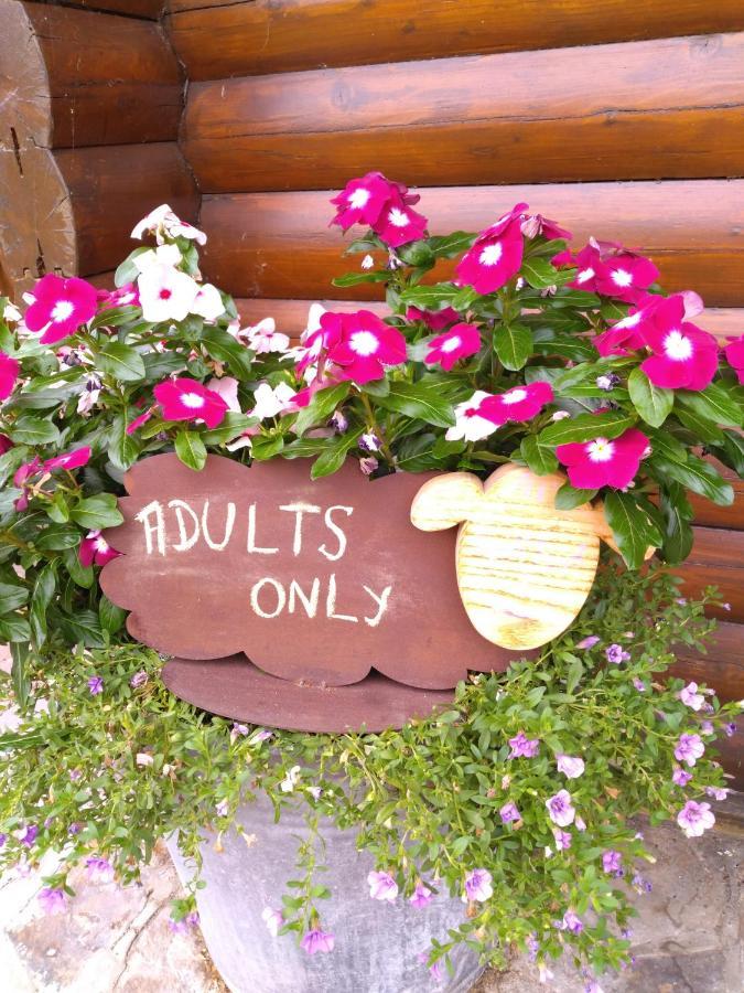 Lessive Au Paradou Du Bucheron Adults Only מראה חיצוני תמונה